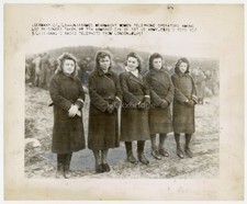 Captured German Female POW's 1945 Women Army Prisoners WWII Photo J15270 picture