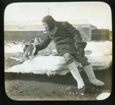 Rennick and friendly Adelie Antarctica British Antarctic Expeditio .. Old Photo picture