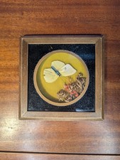 Vintage 1970s Dried Botanical Taxidermy Butterfly Wall Hang Mustard Earth Boho picture