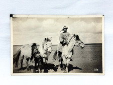 Mongolian Man with Horses on Plains RPPC Antique Real Photo Postcard picture