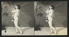 Summer Woman Model c1900 Old Photo 2 picture
