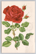 American Greetings Red Rose Illustration Art 1969 Postcard picture