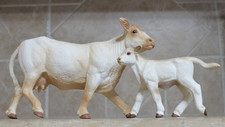 retired Lot of 2 Safari LTD 2 Charolias Cows calf white cattle beef farm toys picture