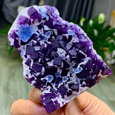 209G Natural blue purple dual color window  fluorite mineral crystal/Zhejiangmen picture