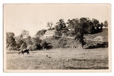 Cattle Field Hilltop Farmstead Farming Real Photo Postcard RPPC Unposted picture