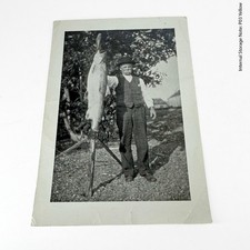 Vtg 1900s Man Holding GIANT Pike Fish Catch Black & White Photograph Fishing picture