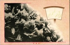 Vintage Japanese Postcard Rhododendron Azalea Flowers Kinsekki Japan picture