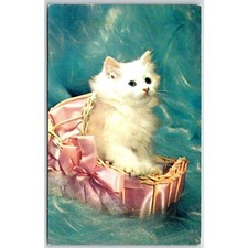 Vintage Fluffy White Kitten in Basket Plastichrome Postcard 1950s-60s Cat picture