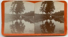Wading at Jansen's Grove, California ? Vintage Photo Stereoview picture