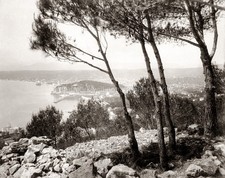 Nice France Harbor Port Coastline Cityscape French Riviera Vtg. Photo 19thC. picture
