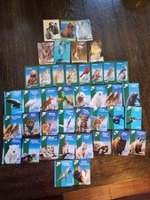 RARE Frontier Airlines Animals Non-Sport Trading Cards Lot of 41 Griz Jack Jim picture