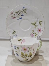 Shelley Wild Anemone 13977 Teacup And Saucer set  Fine Bone China England picture