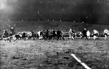 Sunderland Associated Football Club 1964 Old Photo picture