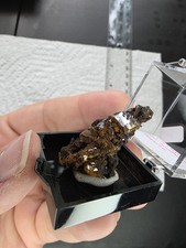 Wulfenite Perky #4, Los Lamentos Chihuahua, Mexico 23g picture