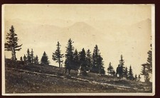 photo cdv Charnaux in Geneva. The Oberland. view of the Righi Scheidegg picture