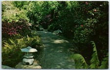 Postcard - Descanso Gardens, La Canada, California, USA P-102960 picture