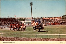 Pendleton, Oregon, rodeo event, bull riding, barrel racing, steer Postcard picture