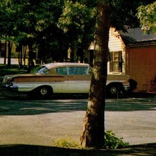 c1960s Sandwich, MA Postcard Shady Nook Motel Route 6A Cape Cod Vintage Car View picture