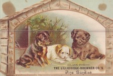Victorian Trade Card - Lillibridge-Bremner Co. Fine Candies - 3 Dogs picture