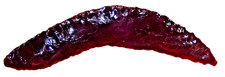 Ancient Obsidian Sacrificial Blade 3 1/4 inch California Collection picture