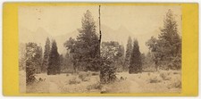 YOSEMITE STEREOVIEW - Wild Nature - E Anthony [Charles Weed ] 1860s picture