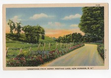c1938 Merry Meeting Lake New Durham NH Flower Road Cows Postcard S-428 picture