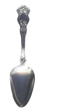 Grapefruit Fruit Spoon WM Rogers Sons Orange Blossom Pattern Silverplate Vintage picture