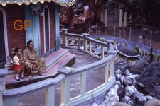 #XX123-hh Old 35mm Slide Photo- Hong Kong- Woman- Girl - 1966 picture