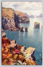 SARK The West Coast The Channel Islands H.B. Wimbush Tuck's Postcard c.1910 picture