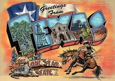 Greetings from Texas Flag Rodeo Horse The Alamo etc Modern Large Letter Postcard picture