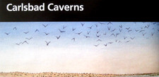 Carlsbad Caverns National Park National Park Service New Mexico Unigrid Brochure picture