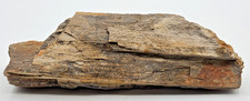 VTG Petrified Wood Rock Fossils Specimen Texas 2 lb 11 oz About 9 in Long picture