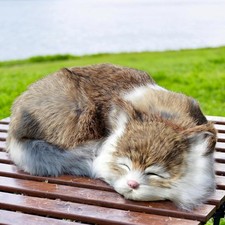 Lifelike Brown and White Sleeping Cat Figurine - Realistic Curled Up Doughnut... picture
