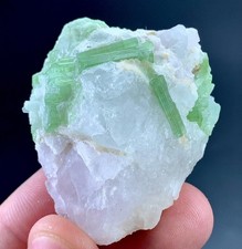 270 Carat Tourmaline Crystal With Quartz Specimen From Afghanistan  picture