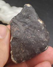 81g Hammadah al hamra 246 Iron Meteorite Witness Libyan meteorite picture