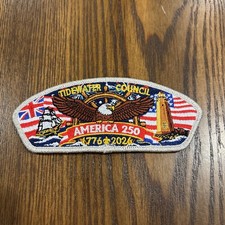 Tidewater Council America USA 250 SMY Mylar CSP SAP picture