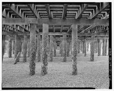 11. Underneath view pilings dock near midsection; looking SE low tide. - picture