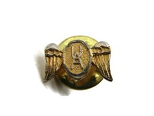 Vintage Western Airlines WA Logo Wings Lapel Pin Tie Tack Gold Tone Aviation picture