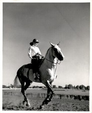 GA251 Original Photo BEAUTIFUL WOMAN RIDING HORSE EQUESTRIAN CONTEST HORSE SHOW picture