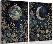 TOLAN 2Pcs Moody Celestial Canvas Wall Art 16x24Inch picture
