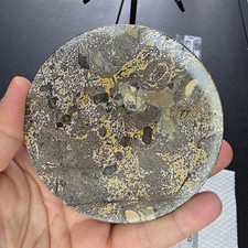 Picture Jasper Full Moon #4 4