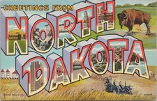 Greetings From North Dakota Large Letter Postcard Bison Capitol Linen CT 1947 picture