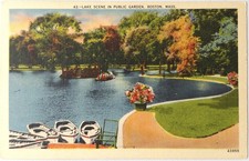 Boston, MA - Vintage Massachusetts Public Garden Boats & Lake Postcard Unposted picture