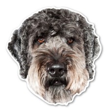 (Black) Labradoodle Magnet picture