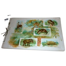 RARE 1888 Allen & Ginter Wild Animals of the World N25 Tobacco Album 50 Cards picture