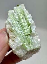 214 Carat Top Tuormaline Crystals On Matrix From Kunar Afghanistan picture