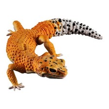 Bandai Gashapon Leopard Gecko Action Figure ADVANCE Tangerine 165mm 2021 picture