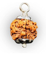 1 Mukhi Round Rudraksha From Nepal 17mm-19mm Underdeveloped IGL Lab Certified picture