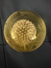 VTG Hafod Grange Botanical Paperweight Lucite Resin Thistle Plant 1994 picture
