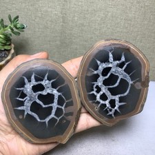 1 pair Natural Moroccan Turtle Back stone Cutting Energy specimen 479g A5652 picture